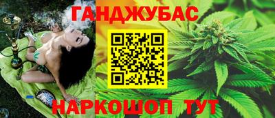 сатива Можайск