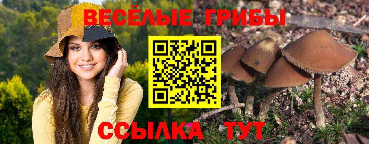 Псилоцибиновые грибы Magic Shrooms Великие Луки